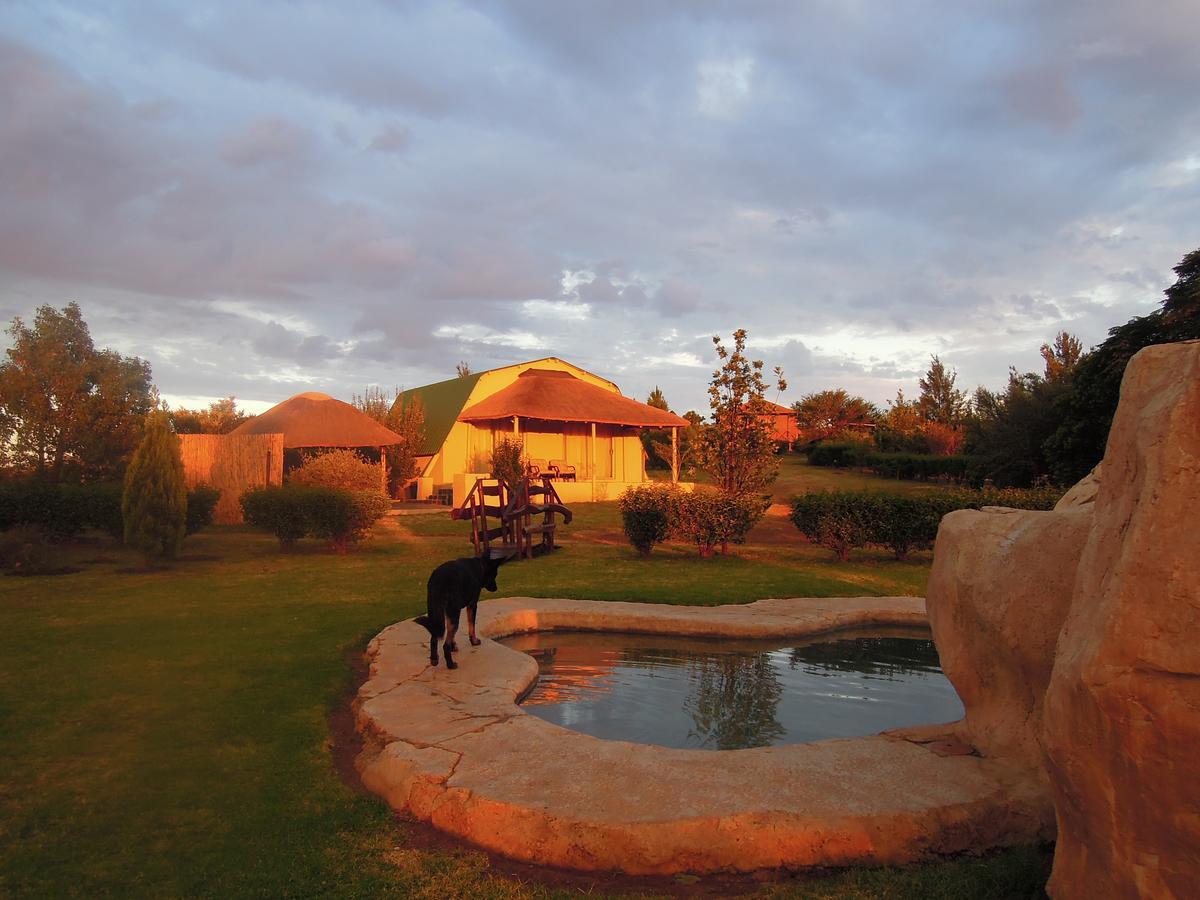 Nullarbor Cottages 马加利斯堡 外观 照片