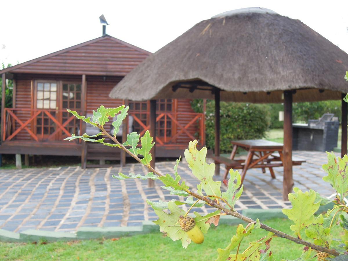 Nullarbor Cottages 马加利斯堡 外观 照片